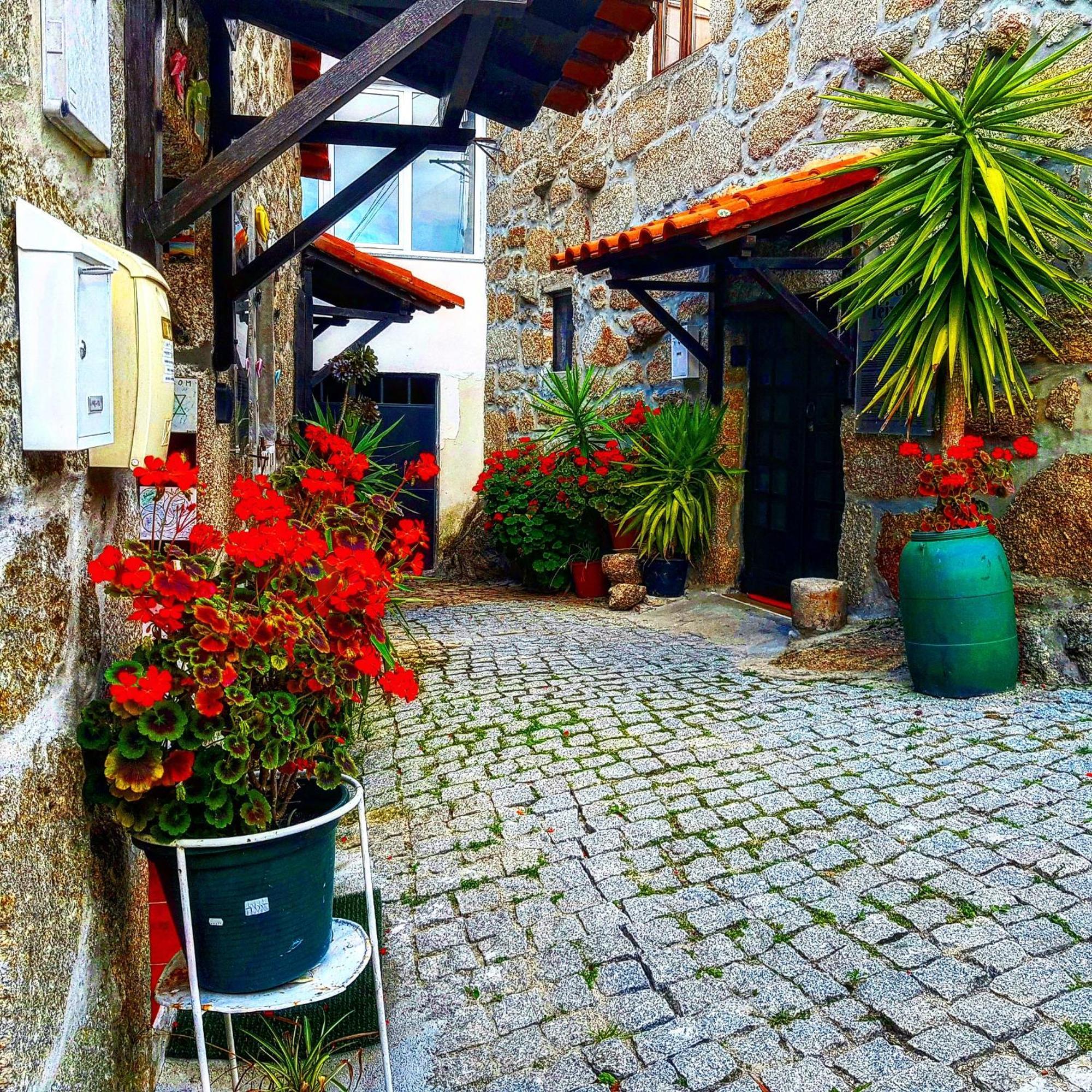 Jose Domingos Villa Belmonte  Luaran gambar