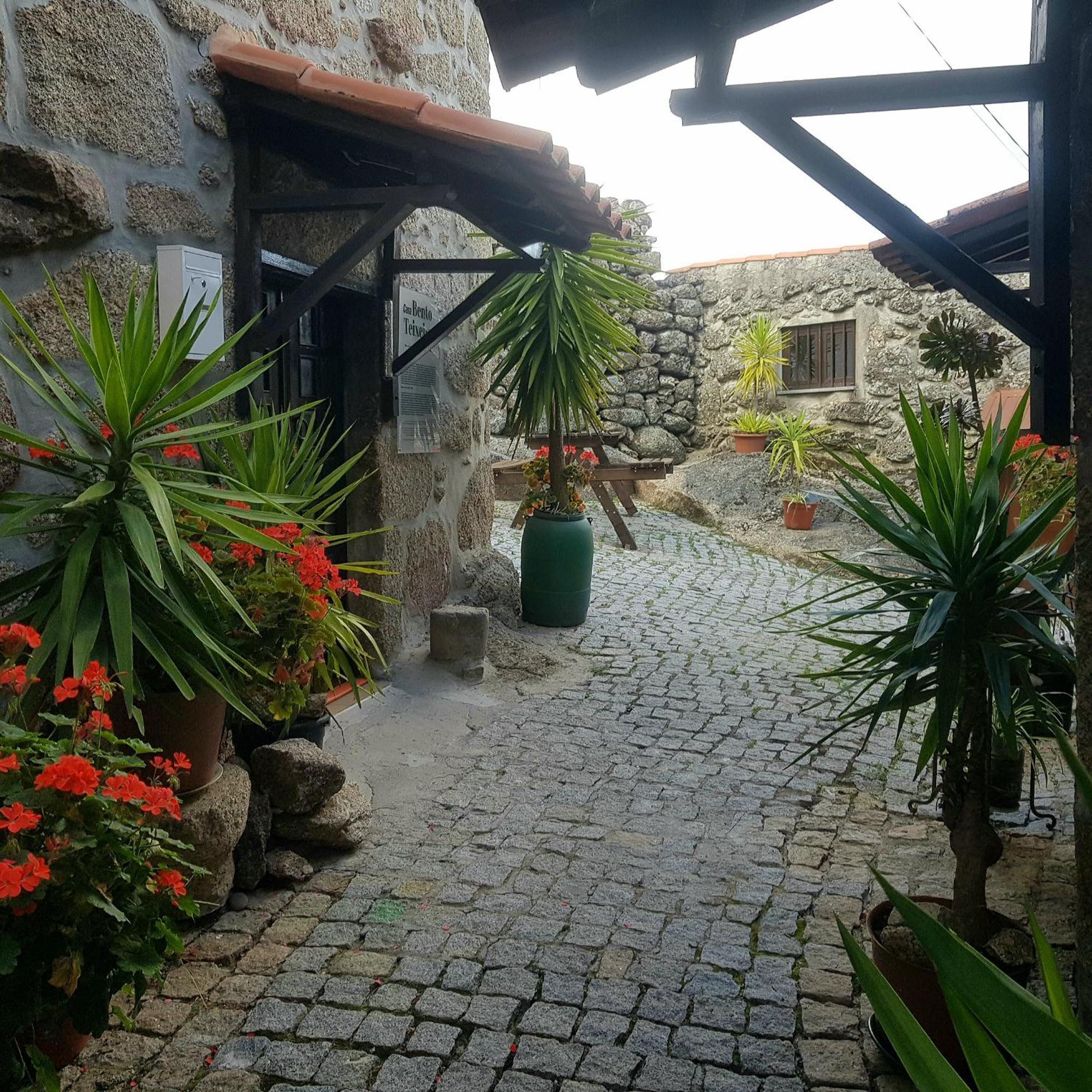 Jose Domingos Villa Belmonte  Luaran gambar