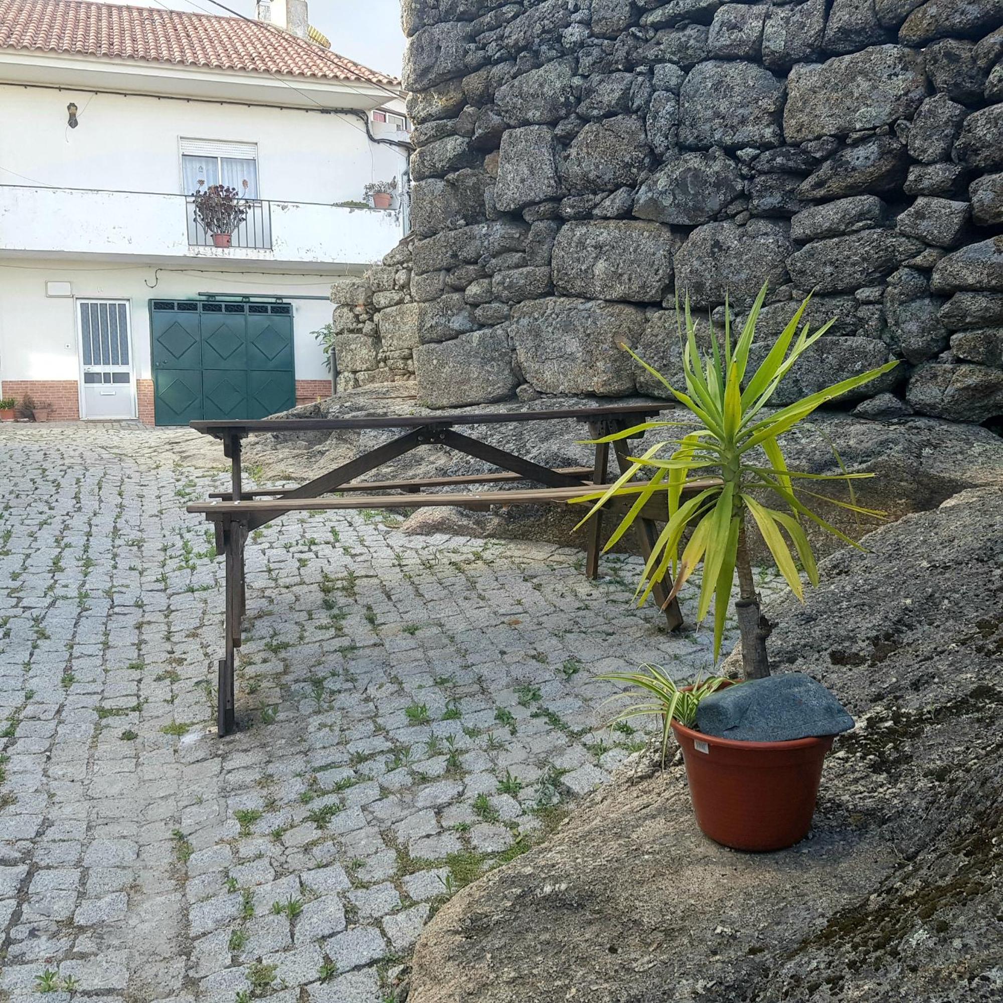 Jose Domingos Villa Belmonte  Luaran gambar